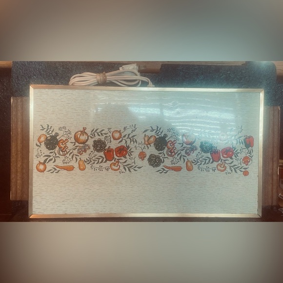 VTG MCM JASCO 18”x9" Hot Plate FOOD WARMING TRAY Model 919 WORKING CONDITION - Picture 1 of 8